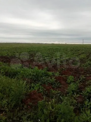 Биклянское сельское поселение, с. Биклянь, ул. Чкалова